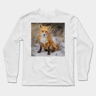 Red Fox Sitting Long Sleeve T-Shirt